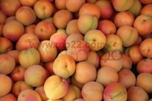 سلة الفواكه  المشمش